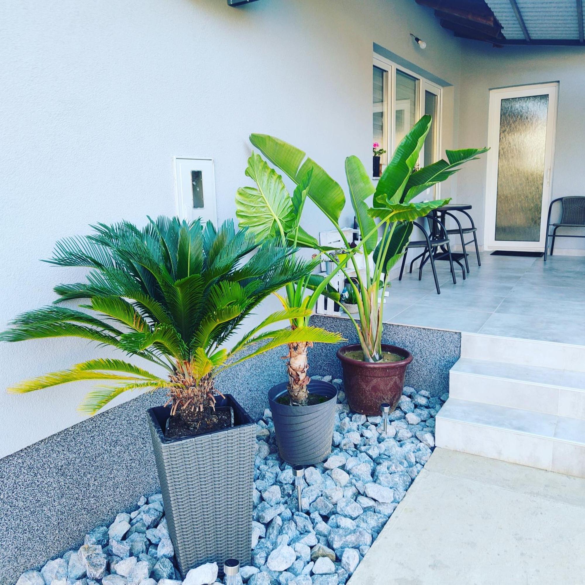 Apartmani Sun & Moon Bjelovar Luaran gambar